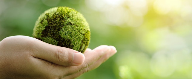 A hand gently holding a small, moss-covered globe, symbolizing care for nature, the Earth, and environmental sustainability.