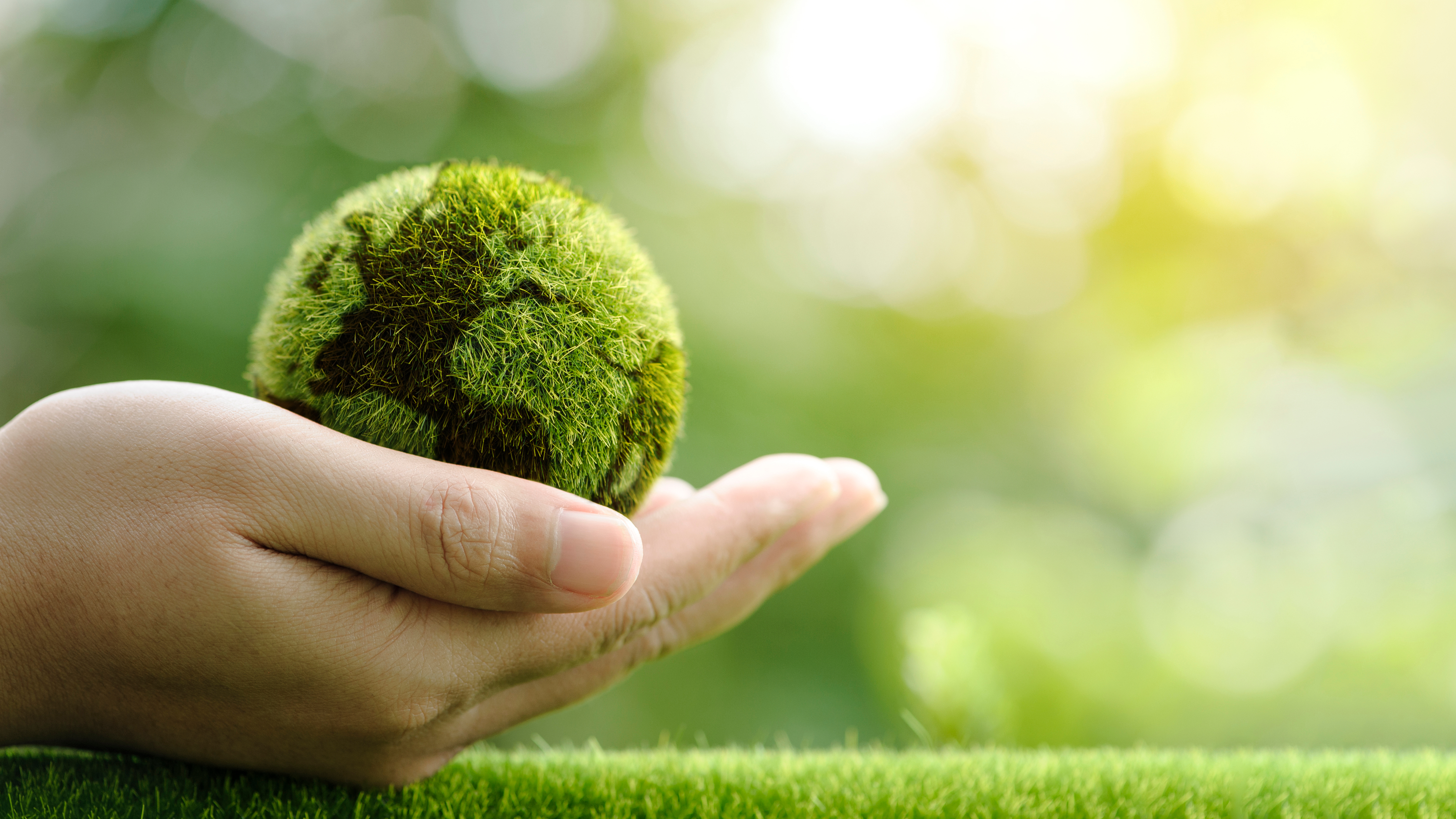 A hand gently holding a small, moss-covered globe, symbolizing care for nature, the Earth, and environmental sustainability.