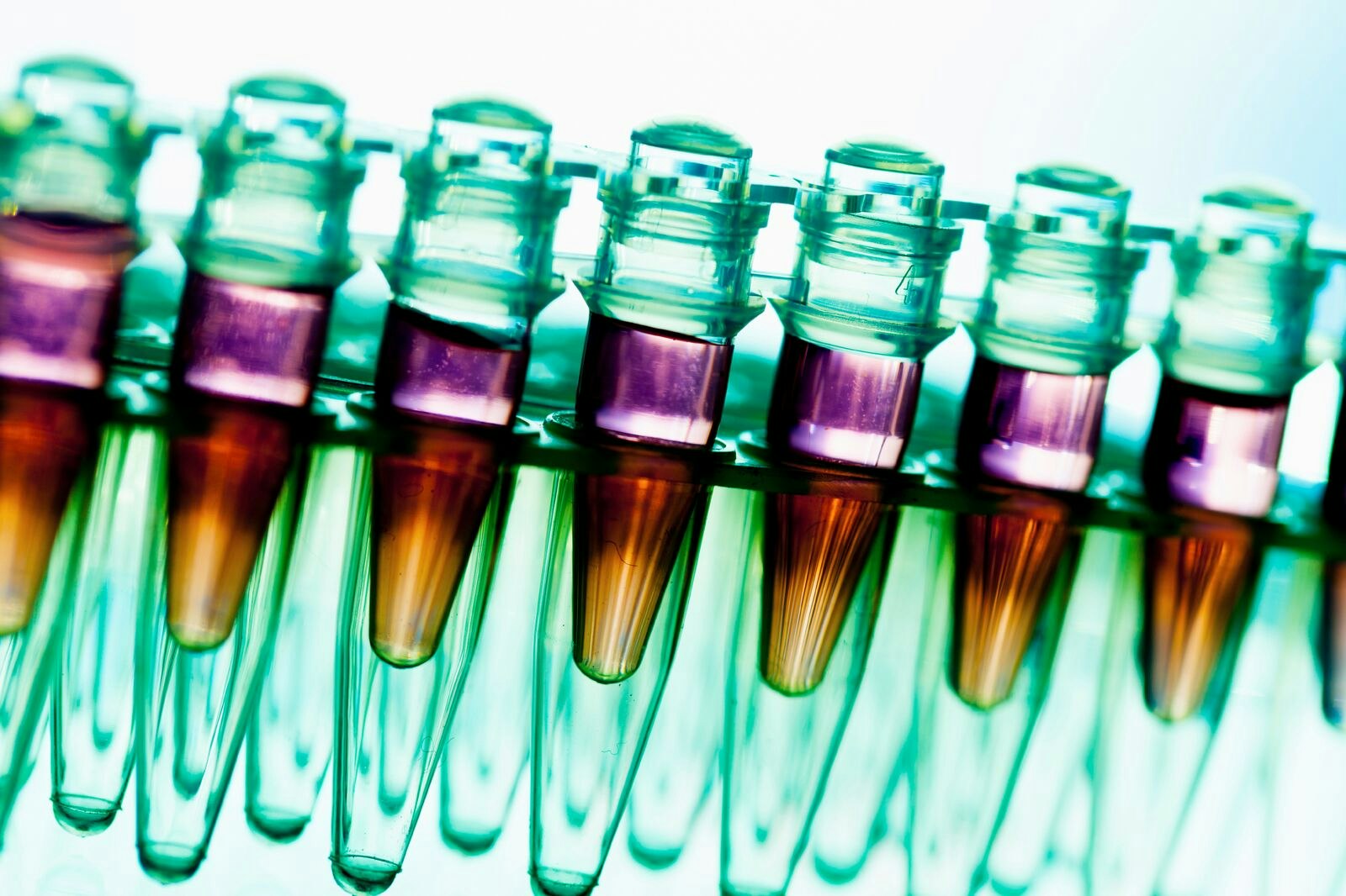 Laboratory Samples in Test Tubes