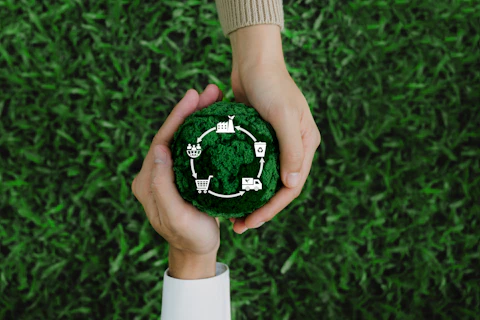 Life cycle assessment concept