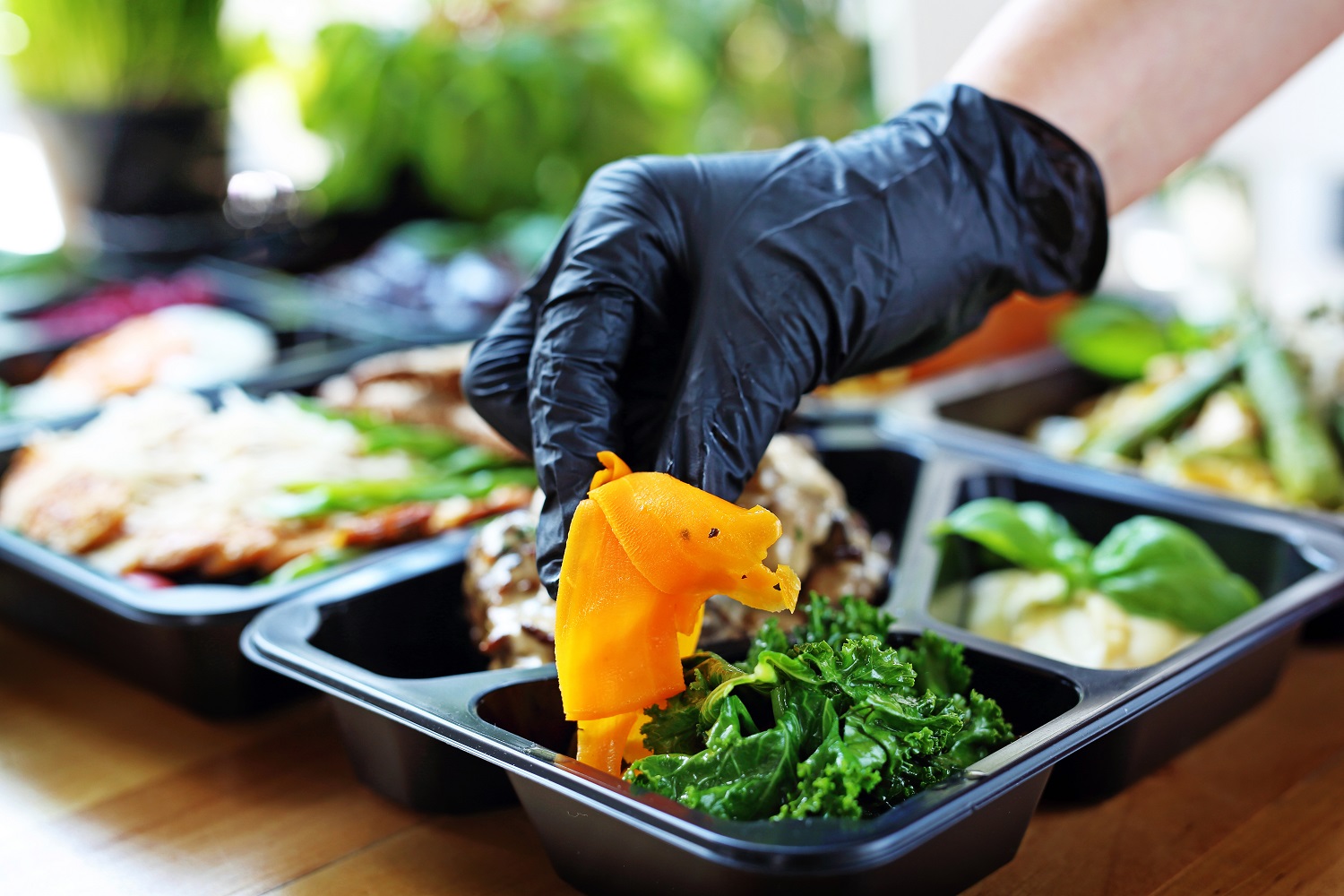 Lunch Boxes with Separators for Take Away