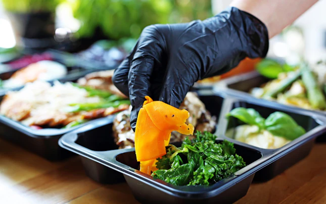 Lunch Boxes with Separators for Take Away