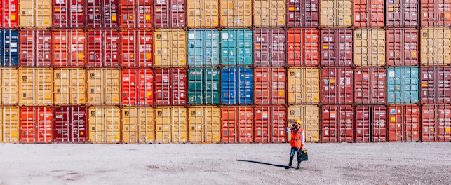 Man checking cargo freights in shipping port