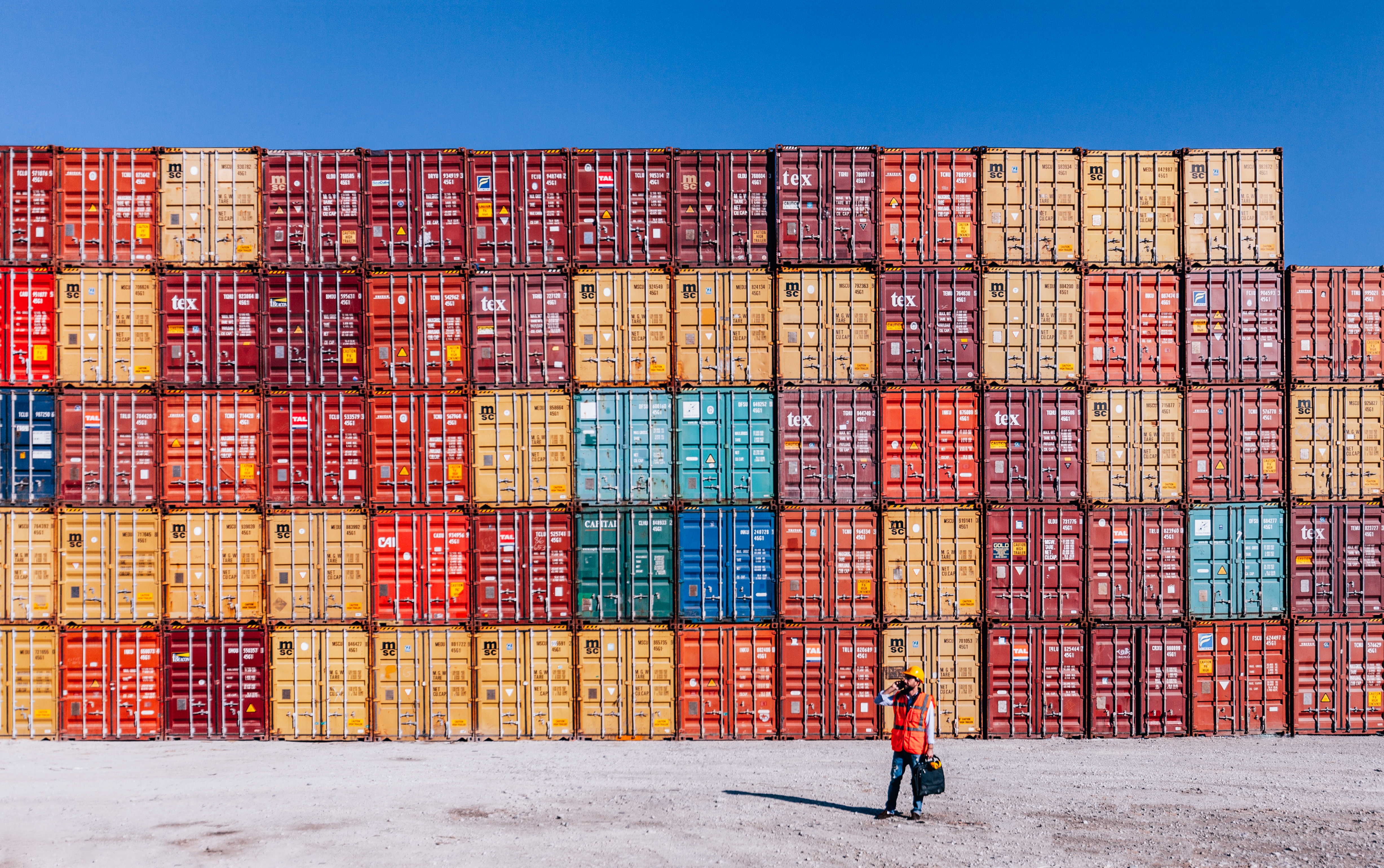Man checking cargo freights in shipping port