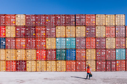 Man checking cargo freights in shipping port