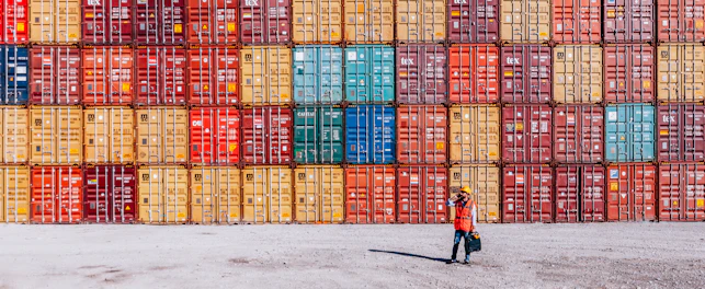 Man checking cargo freights in shipping port