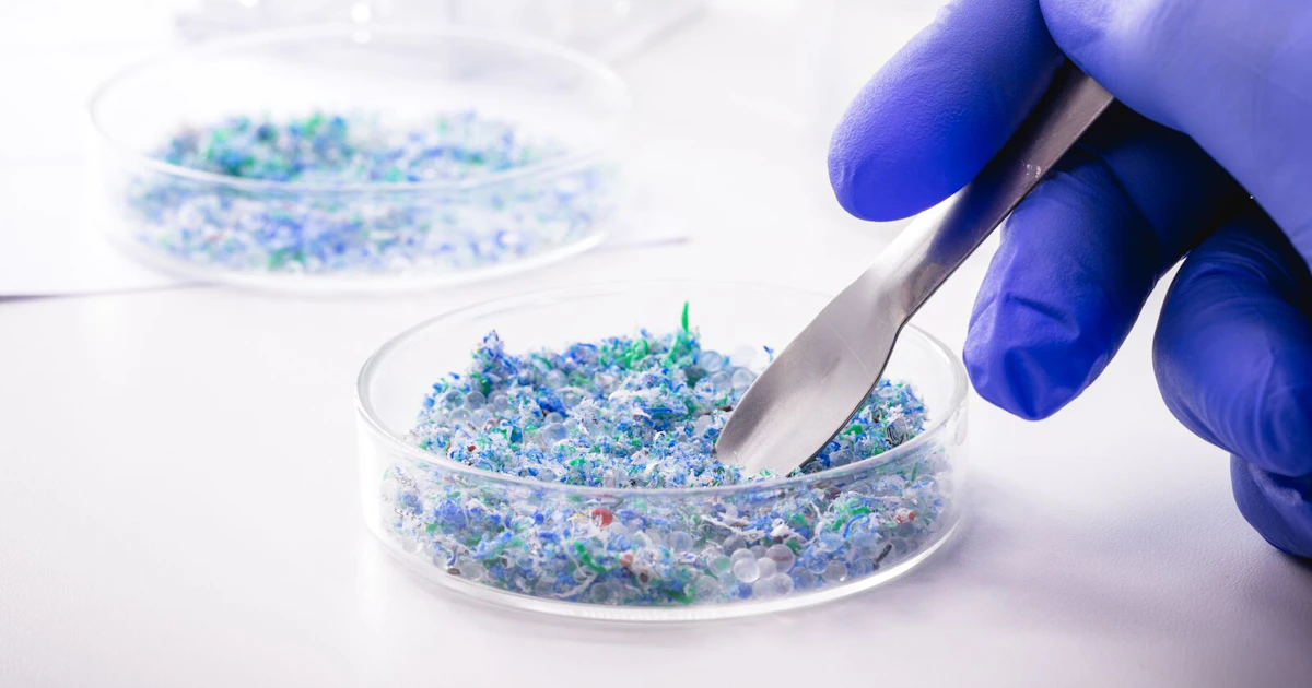 EU Regulates Microplastics under REACH | SGS USA