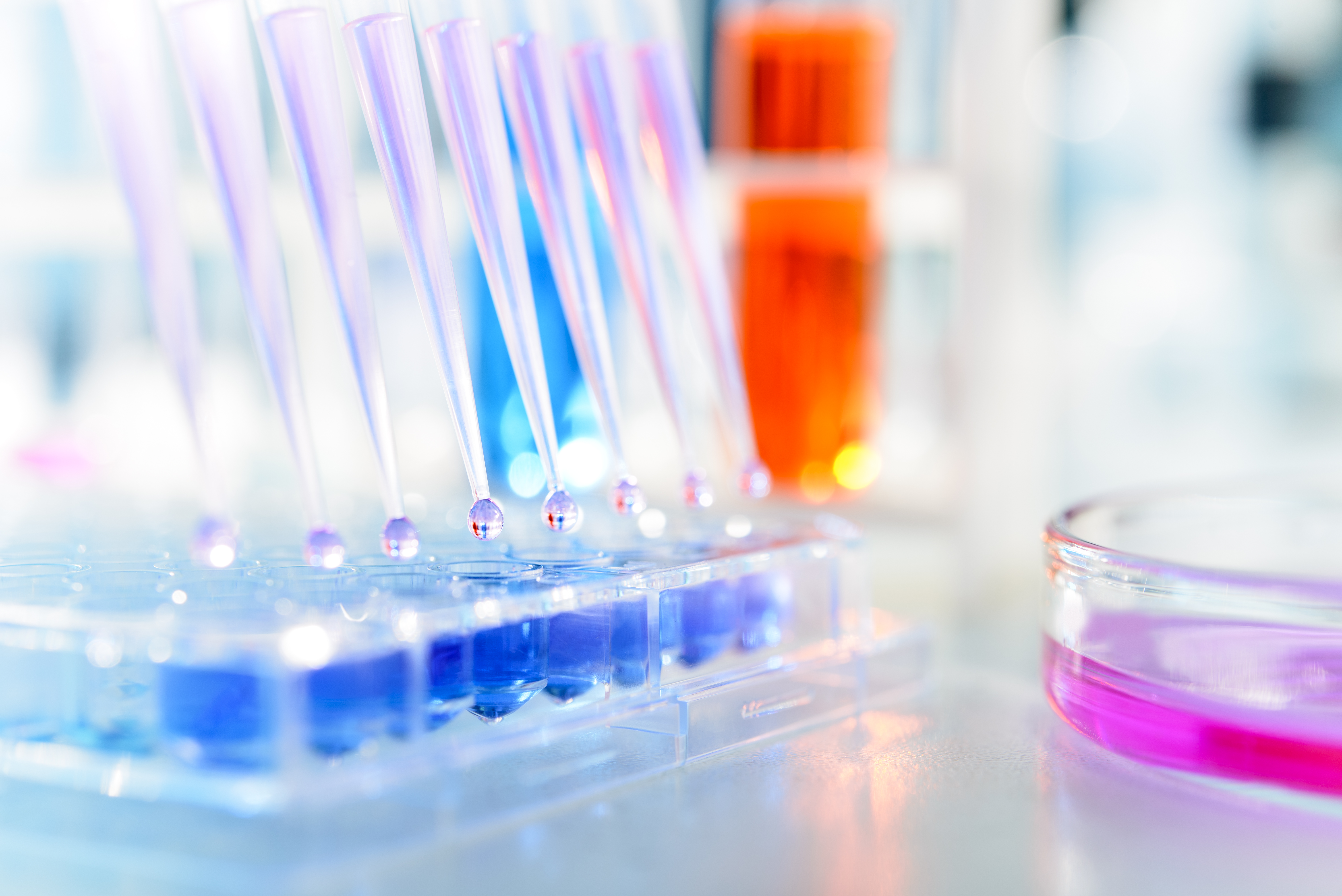 EU Revises CLP Regulation on Substances and Mixtures | SGS Jordan