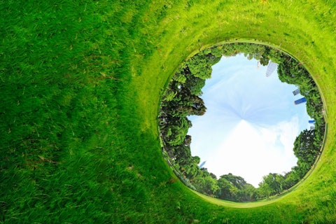 Panoramic Projection of a Green Field with Trees in the Summer
