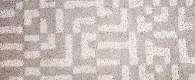 Pattern in Carpet