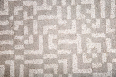 Pattern in Carpet