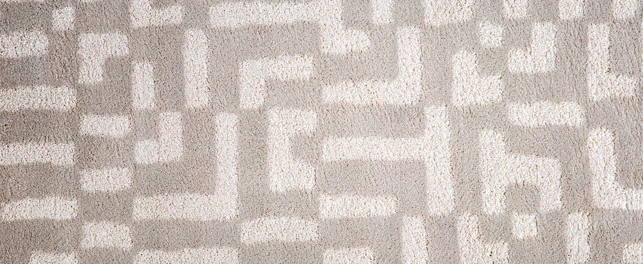 Pattern in Carpet