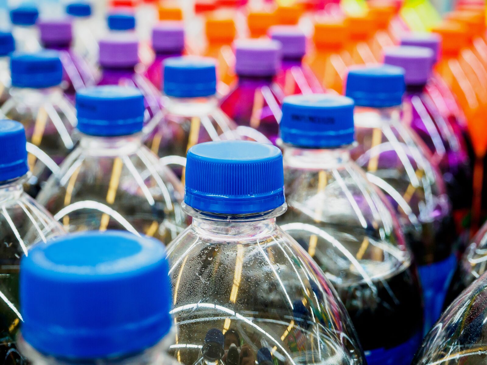 Plastic Bottles