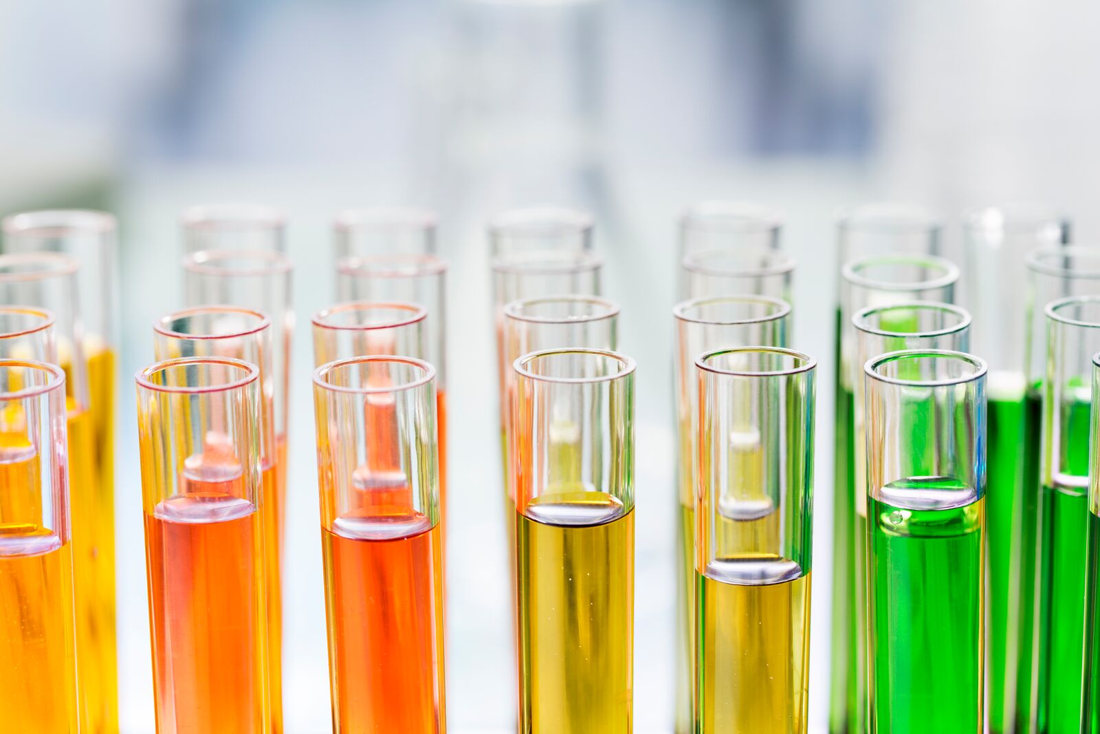 Rack of Test Tubes with Solution in Laboratory