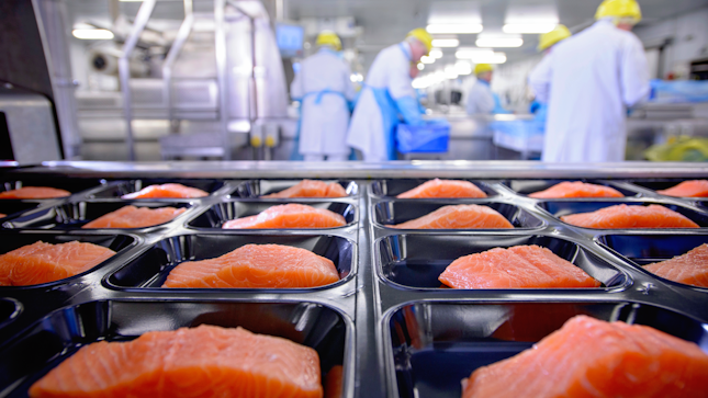Salmon Fillet Packed in Food Factory