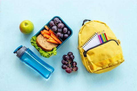 School Lunch Box with Sandwich, Fruits and Water