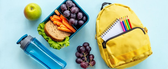 School Lunch Box with Sandwich, Fruits and Water