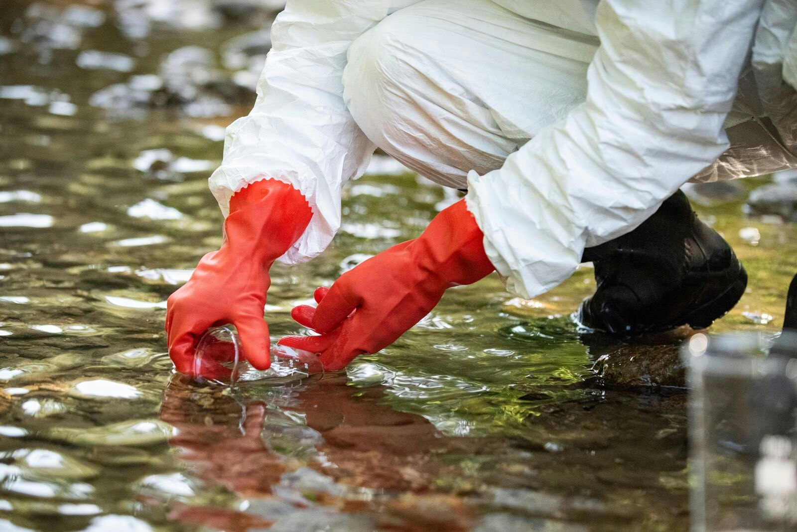 Scientist Taking Water Sample