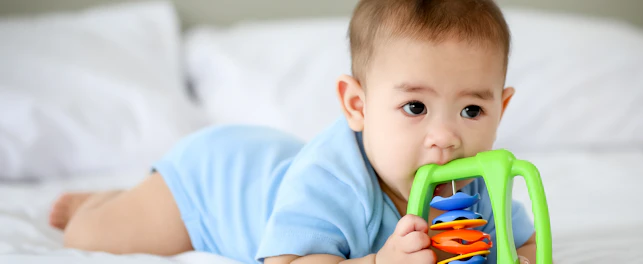 Baby Chewing on Toy