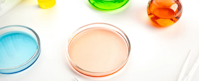SG 14126 Petridish
