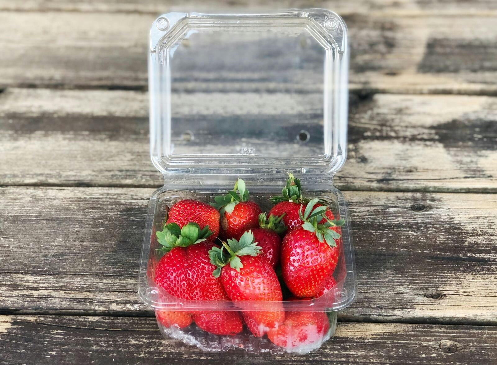 Strawberries in Plastic Tray