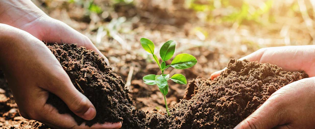 Sustainability and Ecology Concept