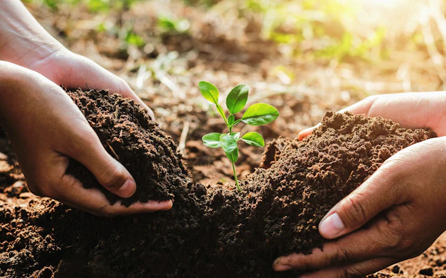 Sustainability and Ecology Concept