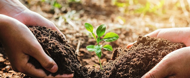 Sustainability and Ecology Concept