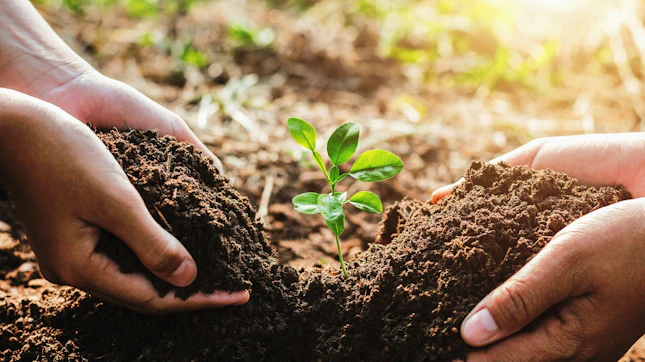 Sustainability and Ecology Concept