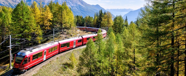 Train rouge traversant une forêt de conifères en région montagneuse