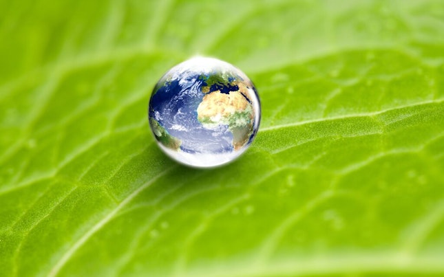 Water drop on leaf earth