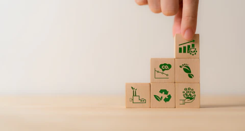 Wooden Blocks