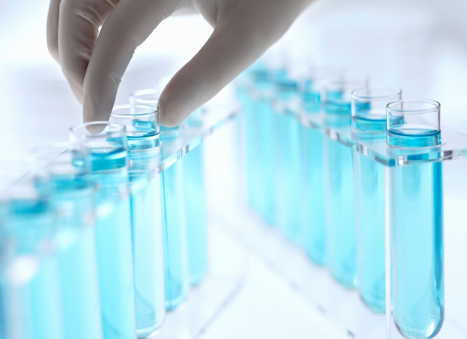 Murray Brown Test Tubes