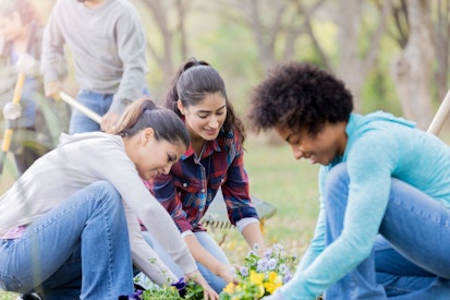 Volunteers Planting Flowers