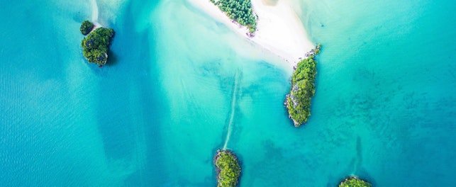 CDP Rating Investor Release