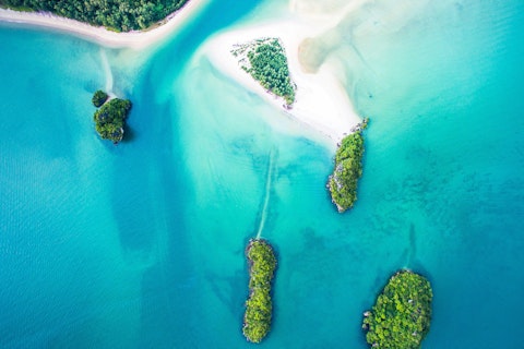 CDP Rating Investor Release