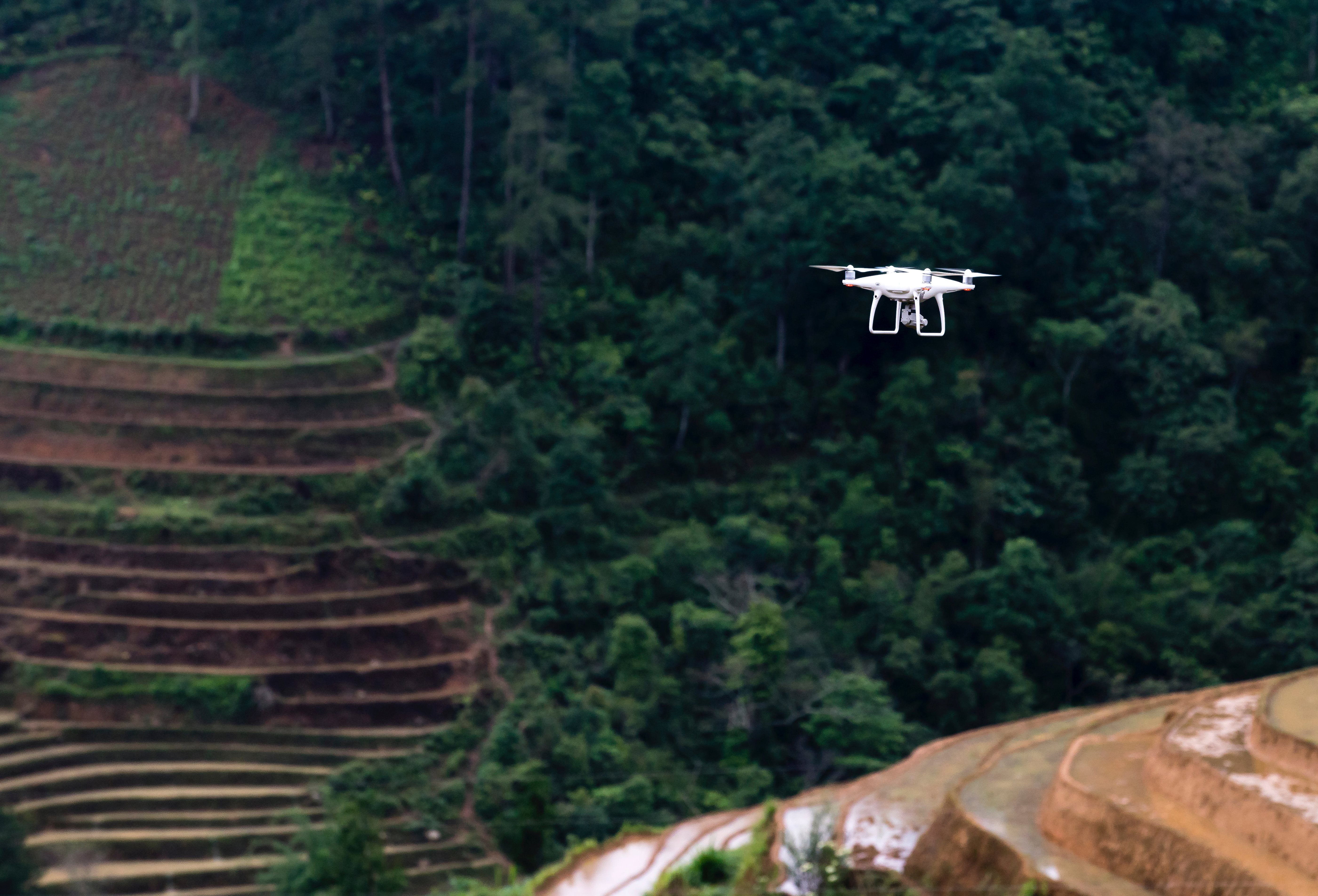 Drone Inspection of Rice Field