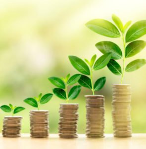 Plants on top of coins