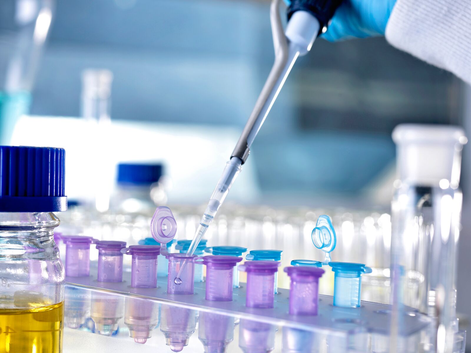 Pipetting Samples Into Microcentrifuge Tubes