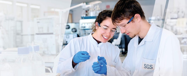 Q1 sales update 2025