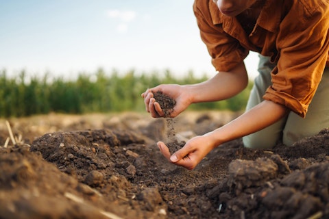 Soil Testing