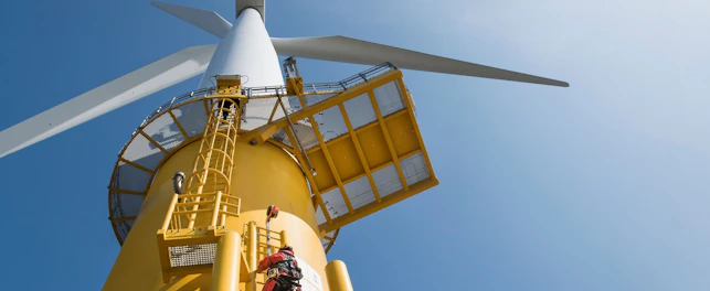 Engineer Climbing Wind Turbine