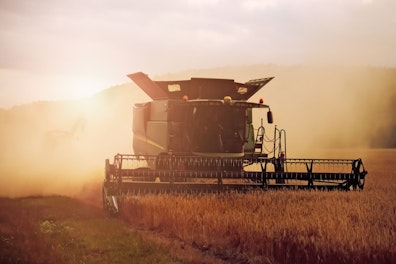 Farmer in Agriculture Field