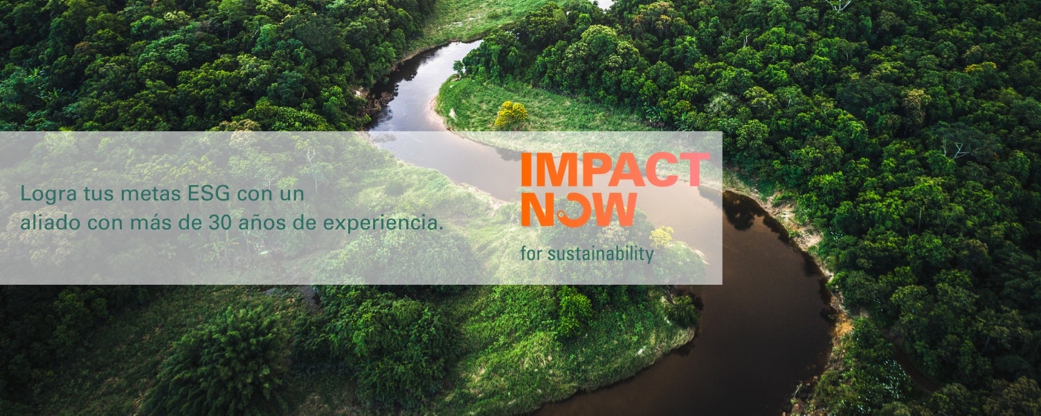 IMPACT NOW Sustainability
