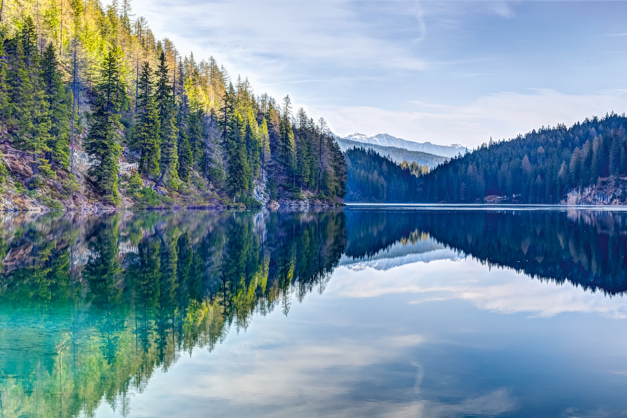 Net Zero Transition Plan Sgs