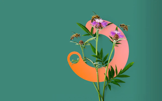 Impact Now Nature