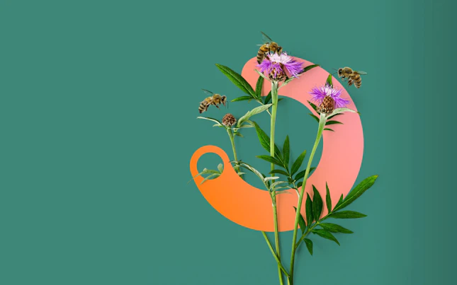 Impact Now Nature