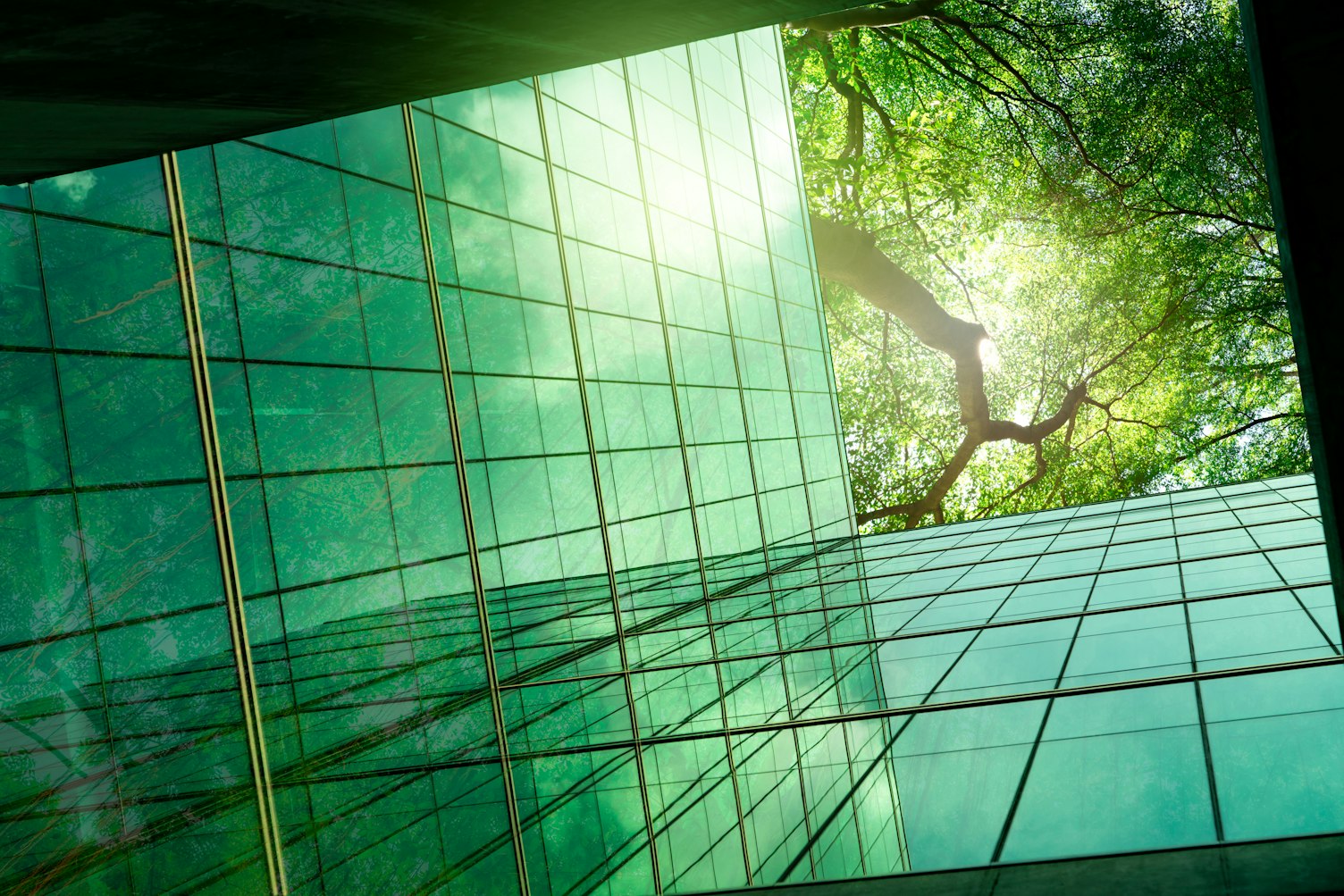 Sustainable Green Building