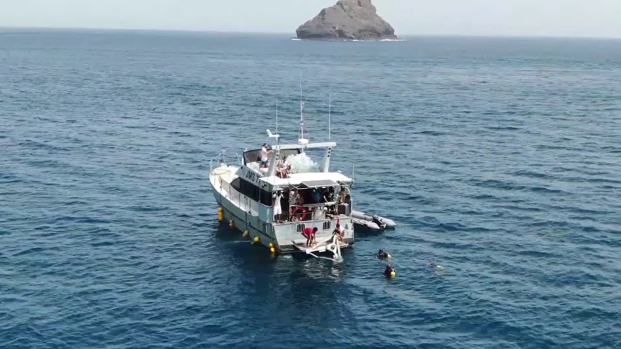 SGS E-DNA Services Cape Verde Case Study