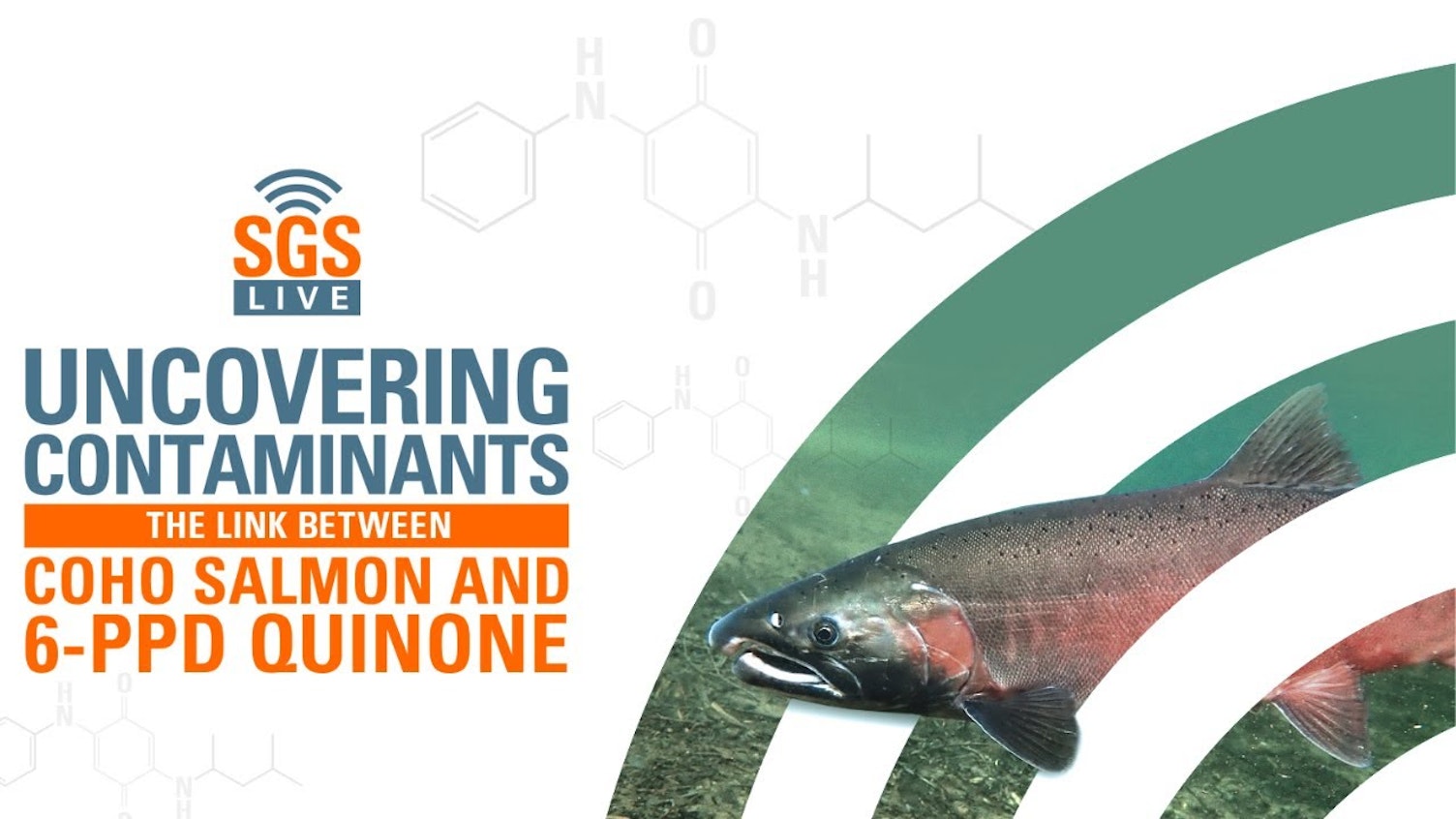 SGS Live Presents English The Link Between Coho Salmon and 6 PPD Quinone
